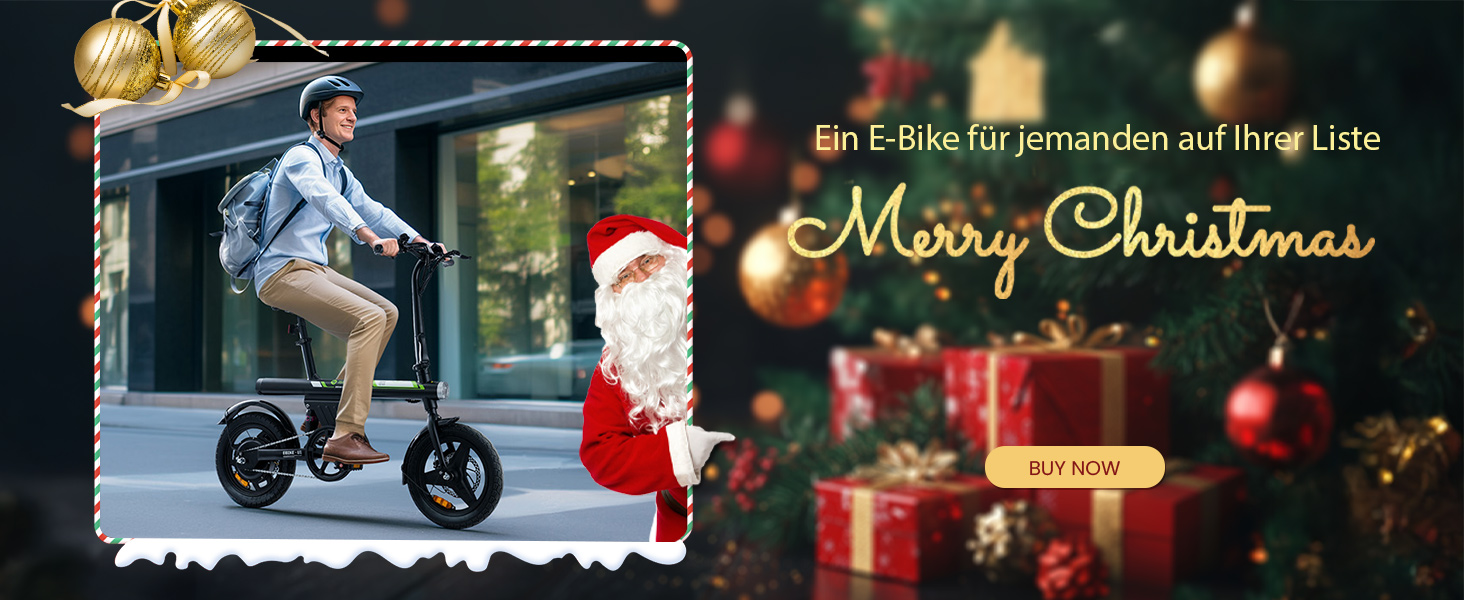 U1 E BIKE