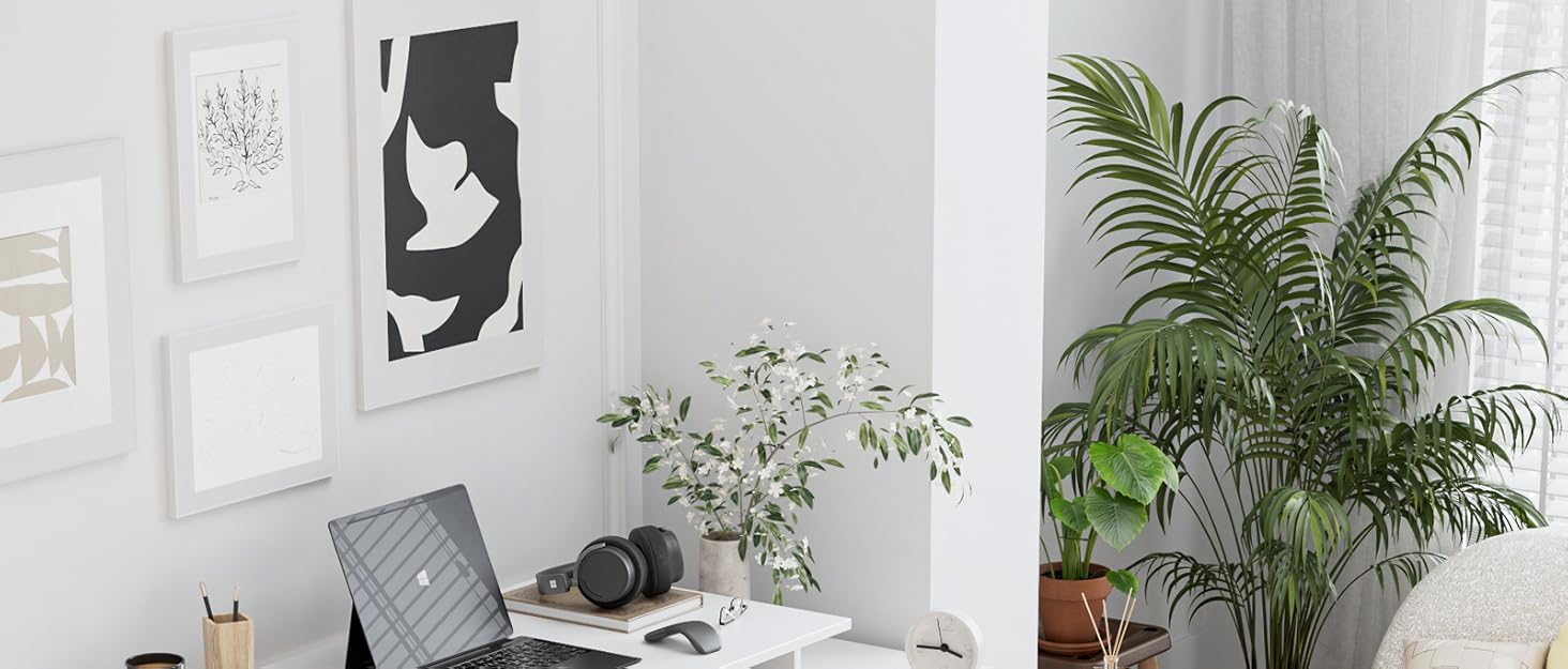 FirFurd Furniture