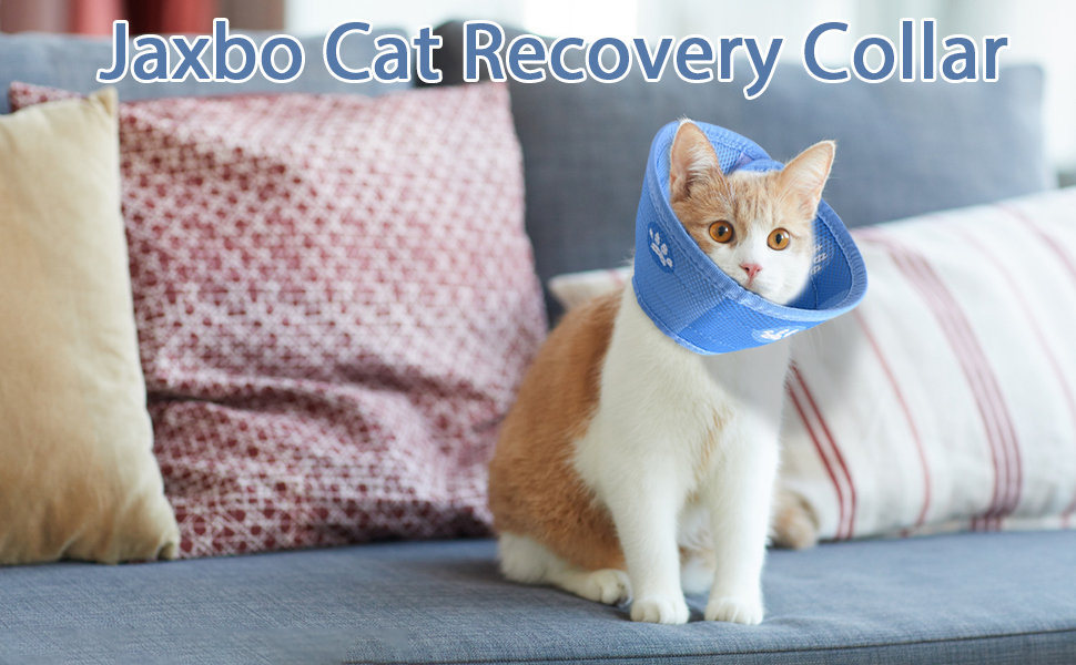 Jaxbo Soft Cat E Collar，Cat Recovery Collar，Adjustable Cat