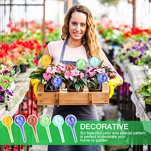 Self Watering System for Indoor Outdoor Plants Watering Globes 