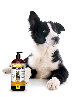 PetHonesty’s Anti-Scratch Salmon Oil