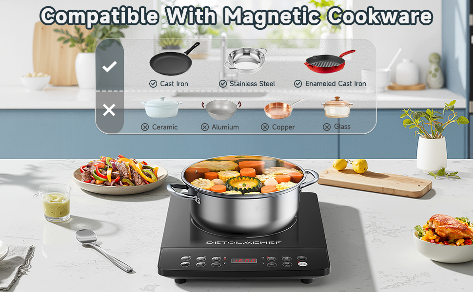 portable induction cooker