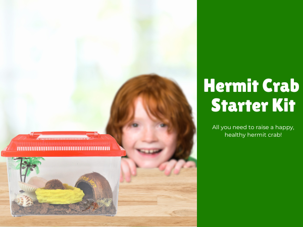 バッグ STANDARD SUPPLY for Hermit Club Amazon.com : Needzo All in One Starter Kit Hermit Crab