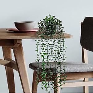 hanging plants