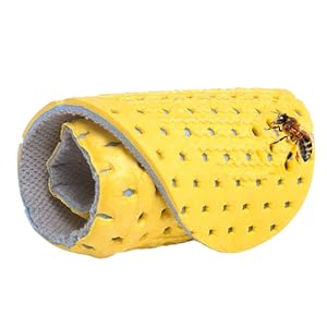 スポーツインソール