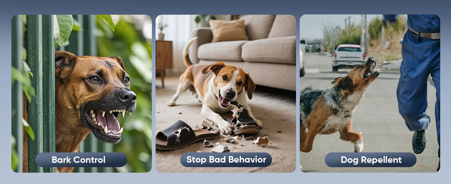 Bad Behavior