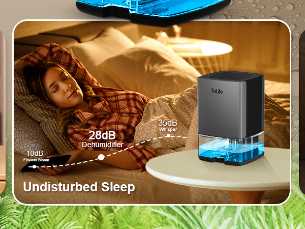 Dehumidifier for Home