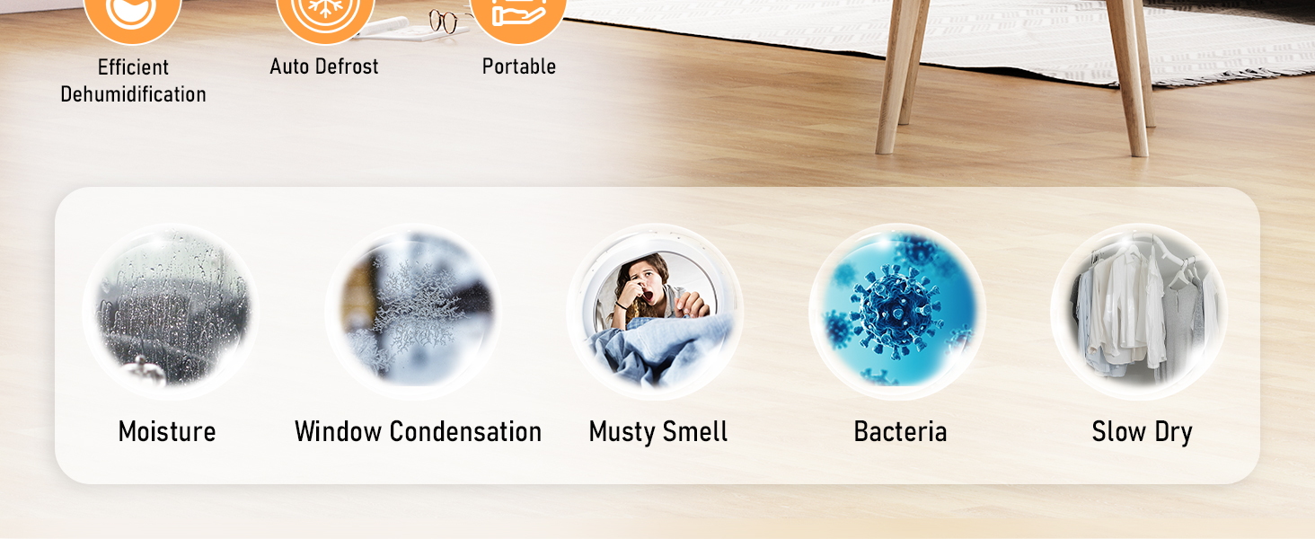 Dehumidifier feature icons showing moisture removal, window condensation prevention, musty smell elimination, bacteria reduction, and slow drying capabilities on a white panel.