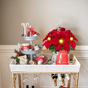 Poinsettias3
