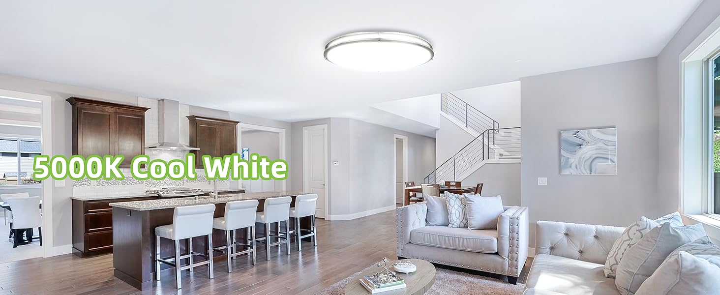 Flush Mount LED Ceiling Light Fixture