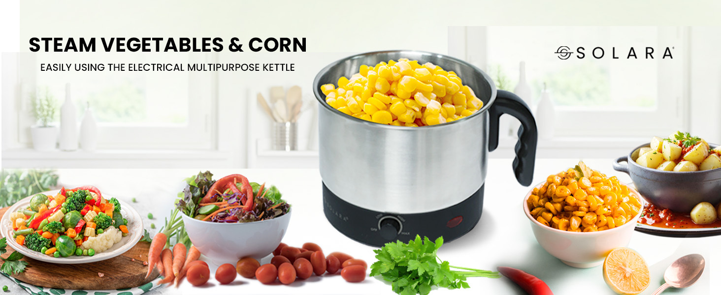 multipurpose kettle kettle for cooking milk boiler electric