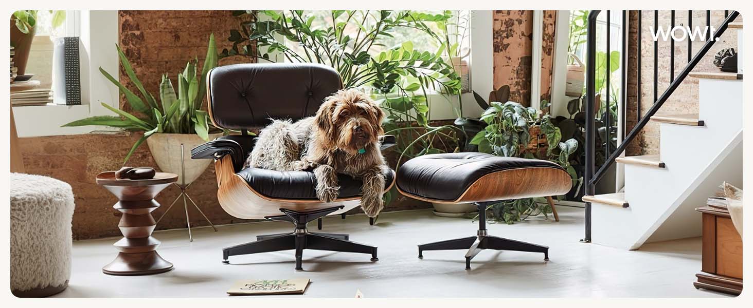 chaise lounge