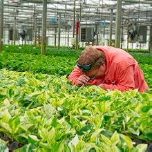 Small manufacture image 5