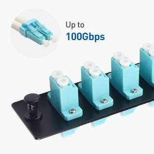6-Port Fiber Patch Panel with 6 Duplex LC Fiber Optic Adapters