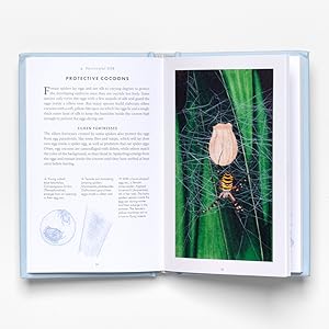 The Little Book of Spiders (Little Books of Nature): Pollard, Simon ...