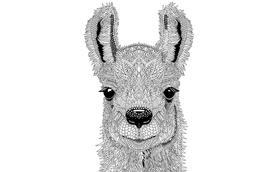 Creatively Calm Studios (クリエイティブリー カーム スタジオ) 大人用塗り絵セット - 大人用塗り絵ブック3冊 - ユニークな動物、風景、マンダ Amazon.co.jp: Creatively Calm Studios (クリエイティブリー