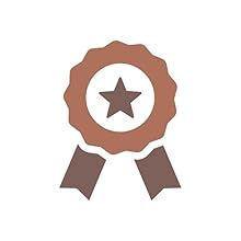 vigowood laptop tray