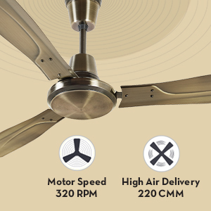 fan