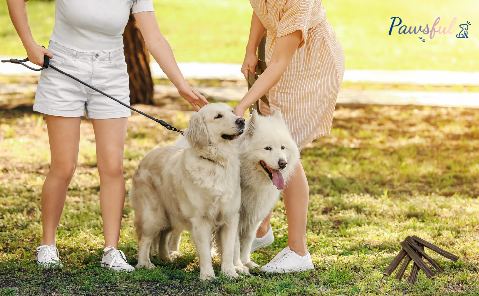 Pawsful Gullet Sticks for Dogs (6 Inch 15Count) Single