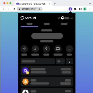 browser wallet
