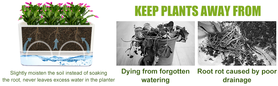 self watering pots for indoor plants