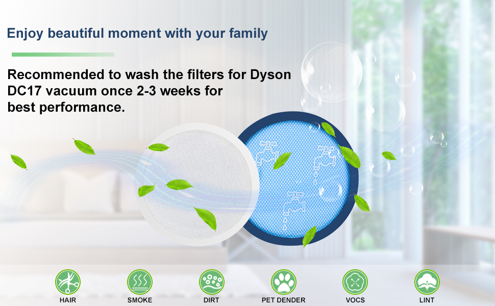 Anewise Filter Replacement for Dyson DC17 Animal, Absolute