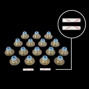 Amazon.com: FEL-PRO SS 71152 Valve Stem Seal Set : Automotive