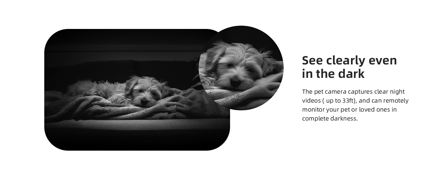 home camera with IR night vision