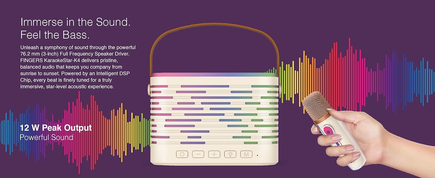 Speaker, Portable Speaker