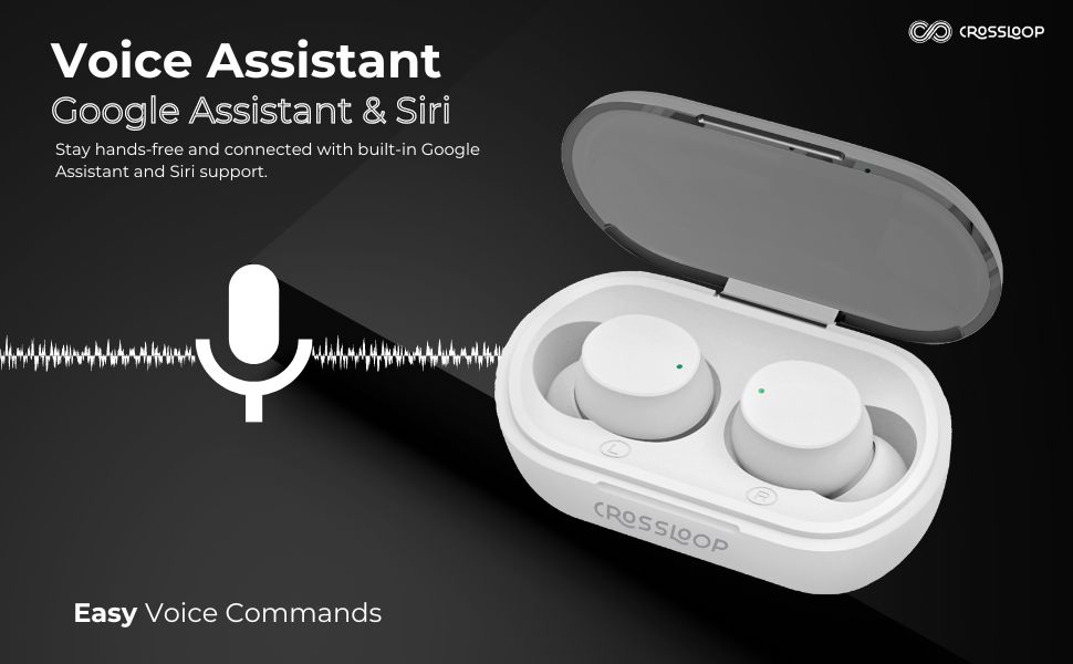 Crossloop Voice assistant