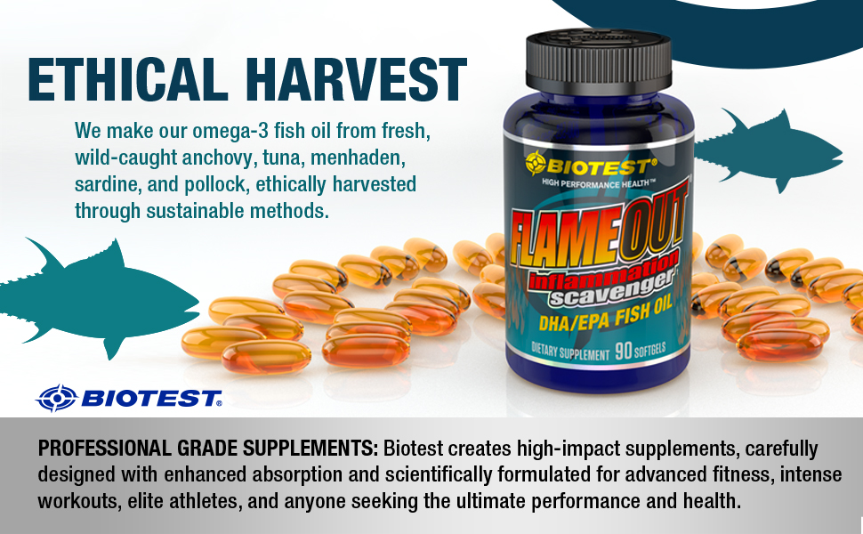 Biotest Flameout Inflammation Scavenger DHA EPA Fish Oil Supplement