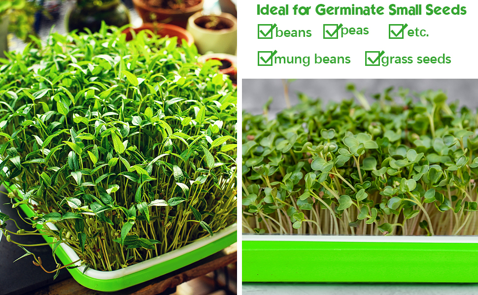 microgreen kit