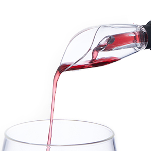 Wine Aerator Pourer