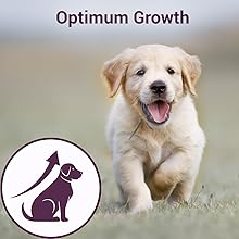 Bowlers Nutrimax Dry Dog Food, Dry Puppy Food, Promotes Brain & Vision Development, Optimum Growth