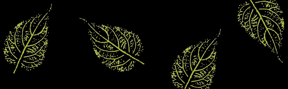 Survivalpflanzen_Banner unten