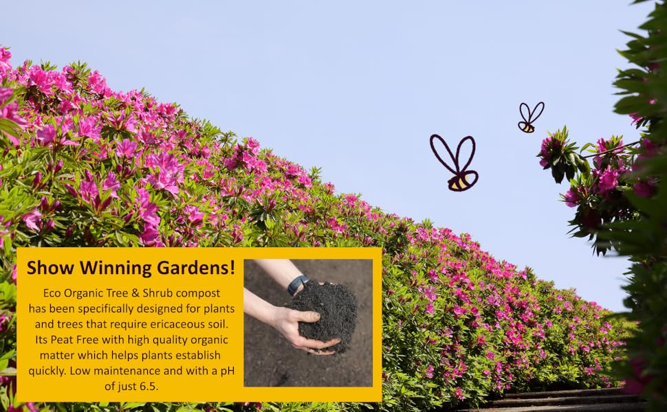 ECO Organic Ericaceous Compost For Outdoor Acid Loving Plants, Tree