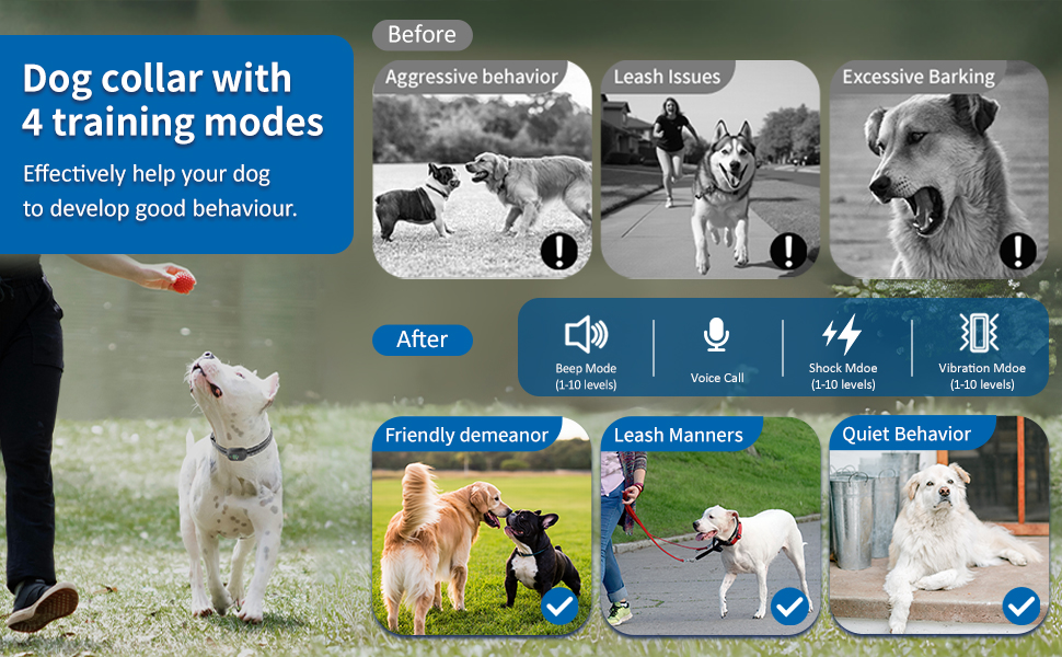 Dog Training Collar with Remote