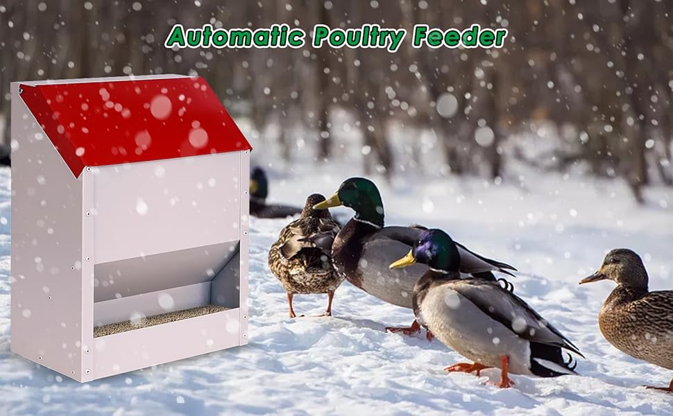 10 KG Automatic Chicken Feeder with Lid No Waste Weatherproof Metal