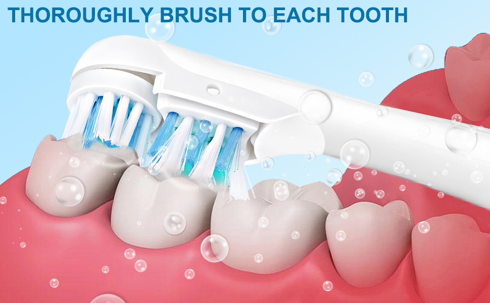 toothbrush head replacement