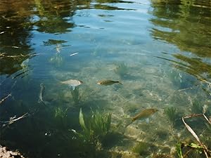 Small manufacture image 3