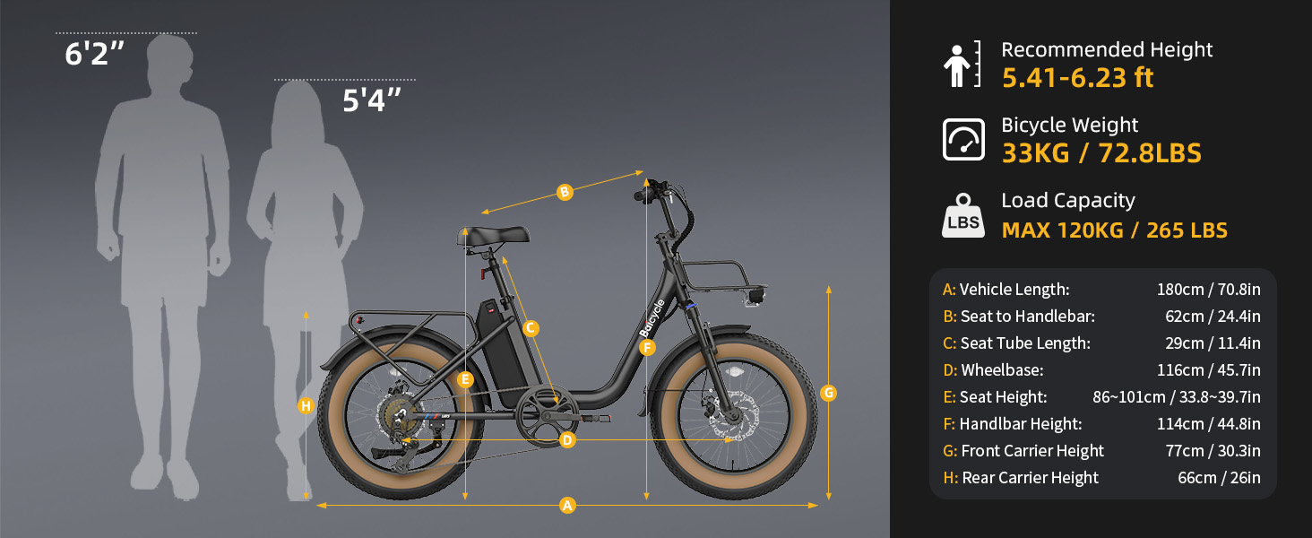 electric bike adult