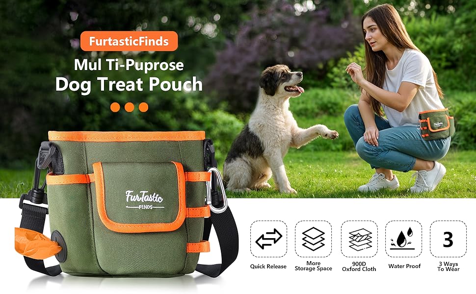 dog treat pouch
