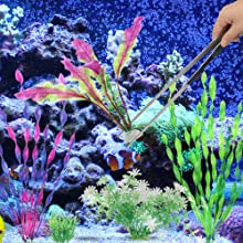 Lebendige Aquarienszene mit bunten Korallen und Pflanzen. Blauer Hintergrund mit verschiedenen Formen und Größen heller Flora.