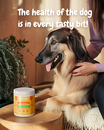 dog digestive supplement