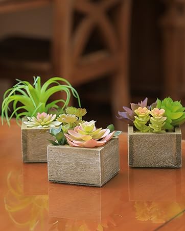 Artificial Succulent Plants