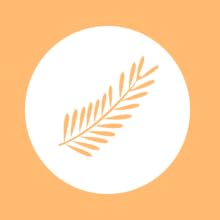 Nabila K Nomad Spice Shower Gel