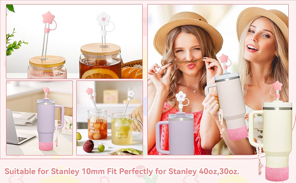 stanley straw topper