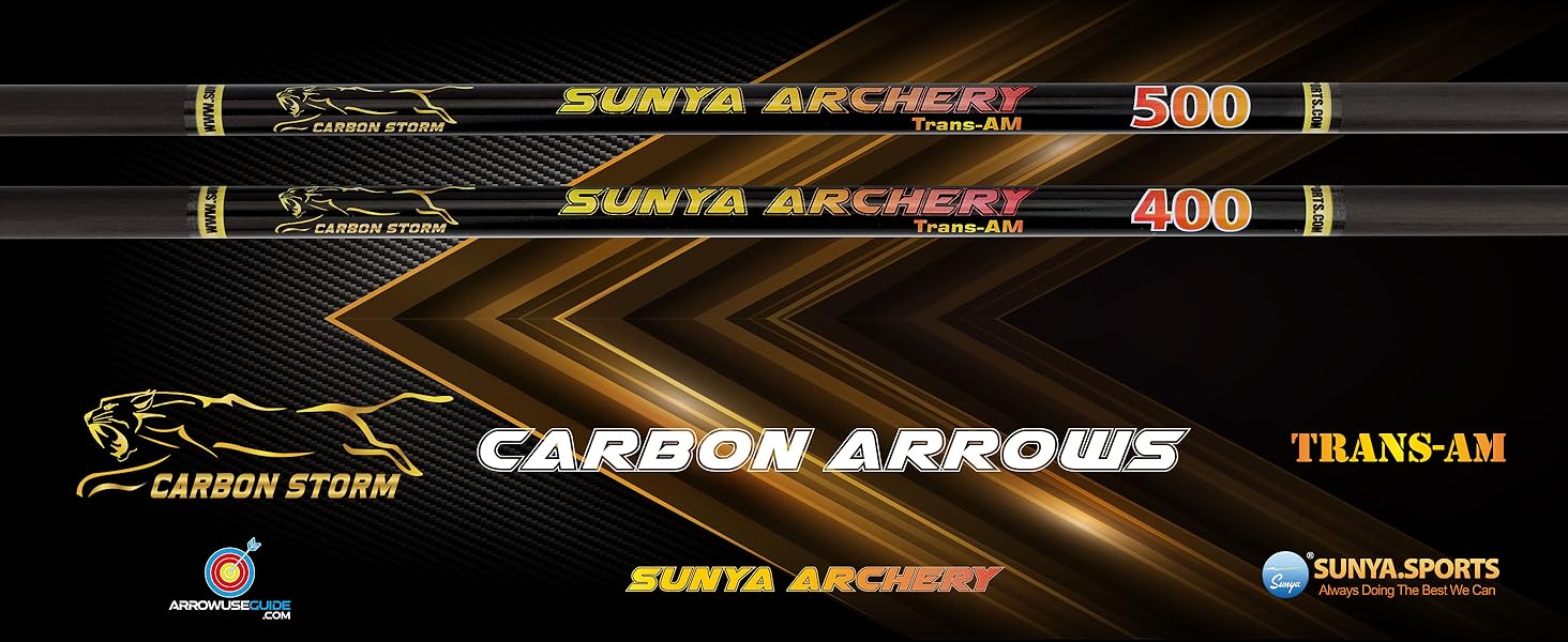 compound bow arrows