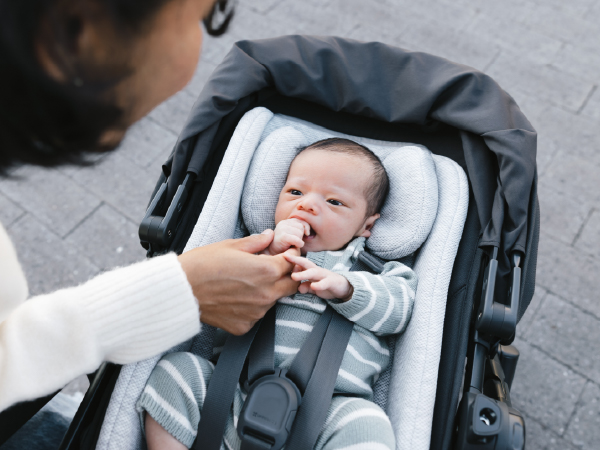 Amazon.com : UPPAbaby Infant Snug Seat / Compatible with