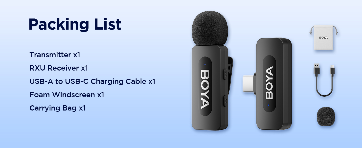 BY-V10 Mic